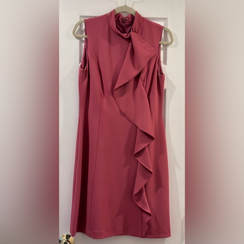 Adriana Papelle dark pink ruffle dress (14)